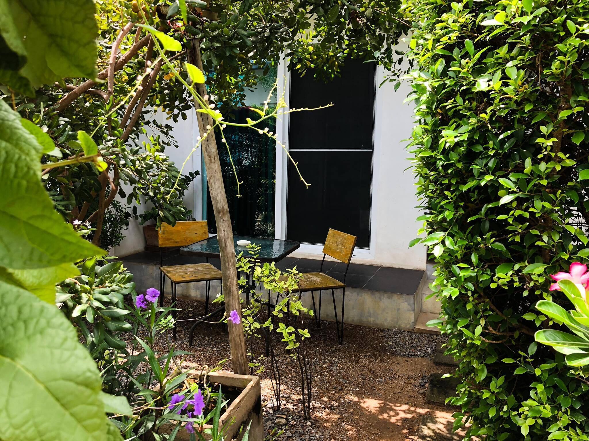 Habitación Confort | Terraza o patio