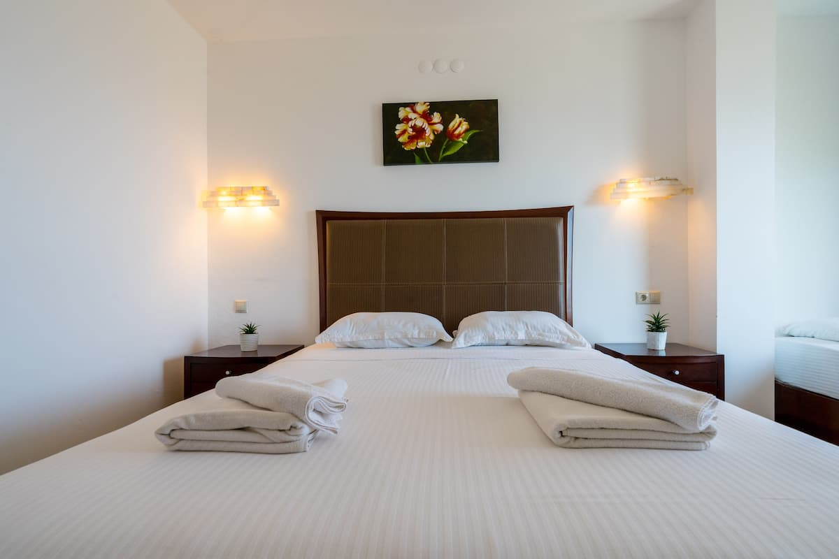 Standard Double Room, 1 Queen Bed | Minibar, desk, free cots/infant beds, free WiFi