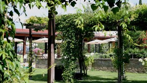 Un jardín con pérgola, muro de piedra y zona de estar al aire libre.