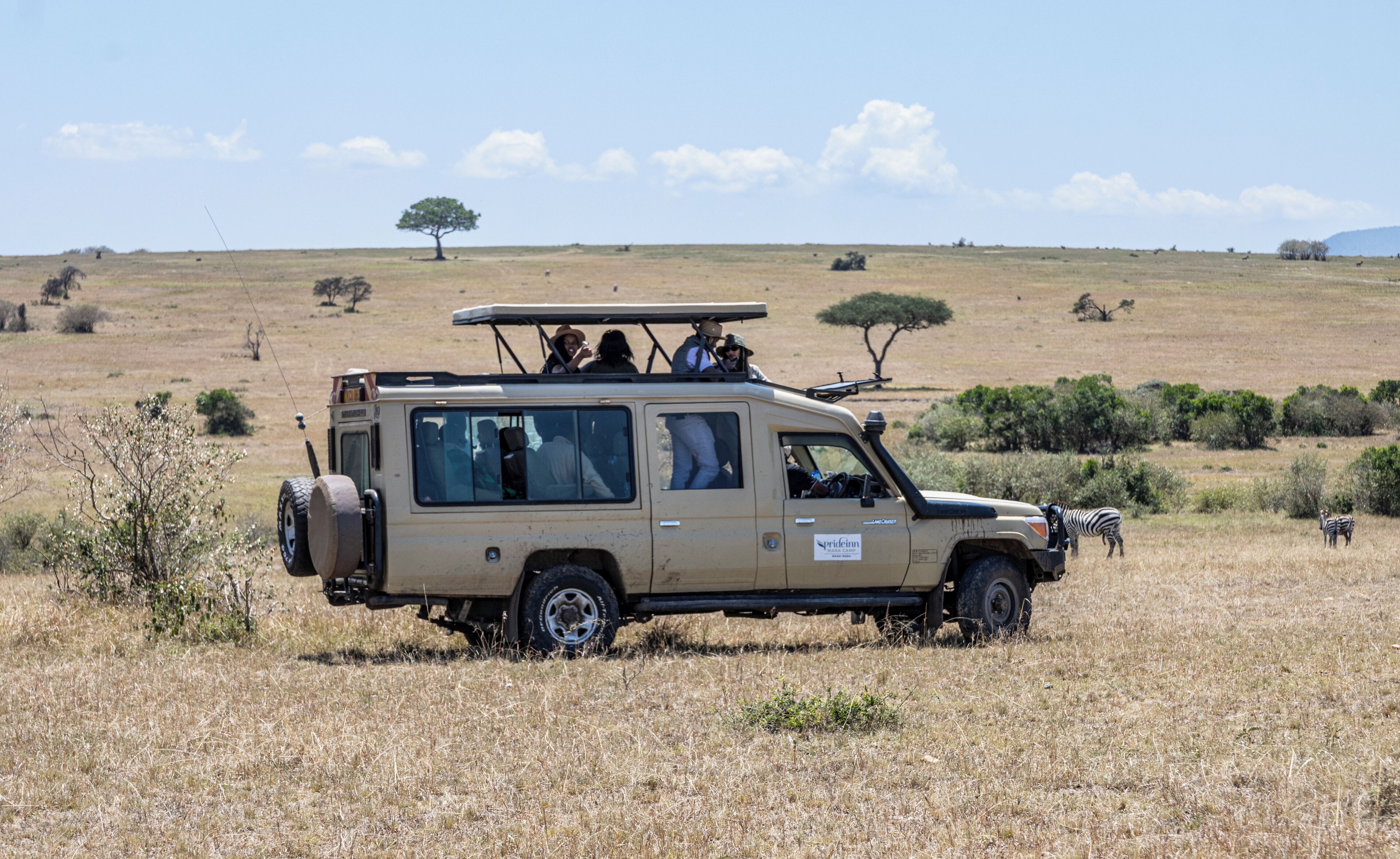 A safari vehicle with passengers, parked in a grassy field with zebras in the background.