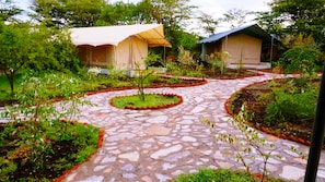 A stone pathway leading to two tents in a garden setting. - PrideInn Mara Camp & Cottages (Maasai Mara)