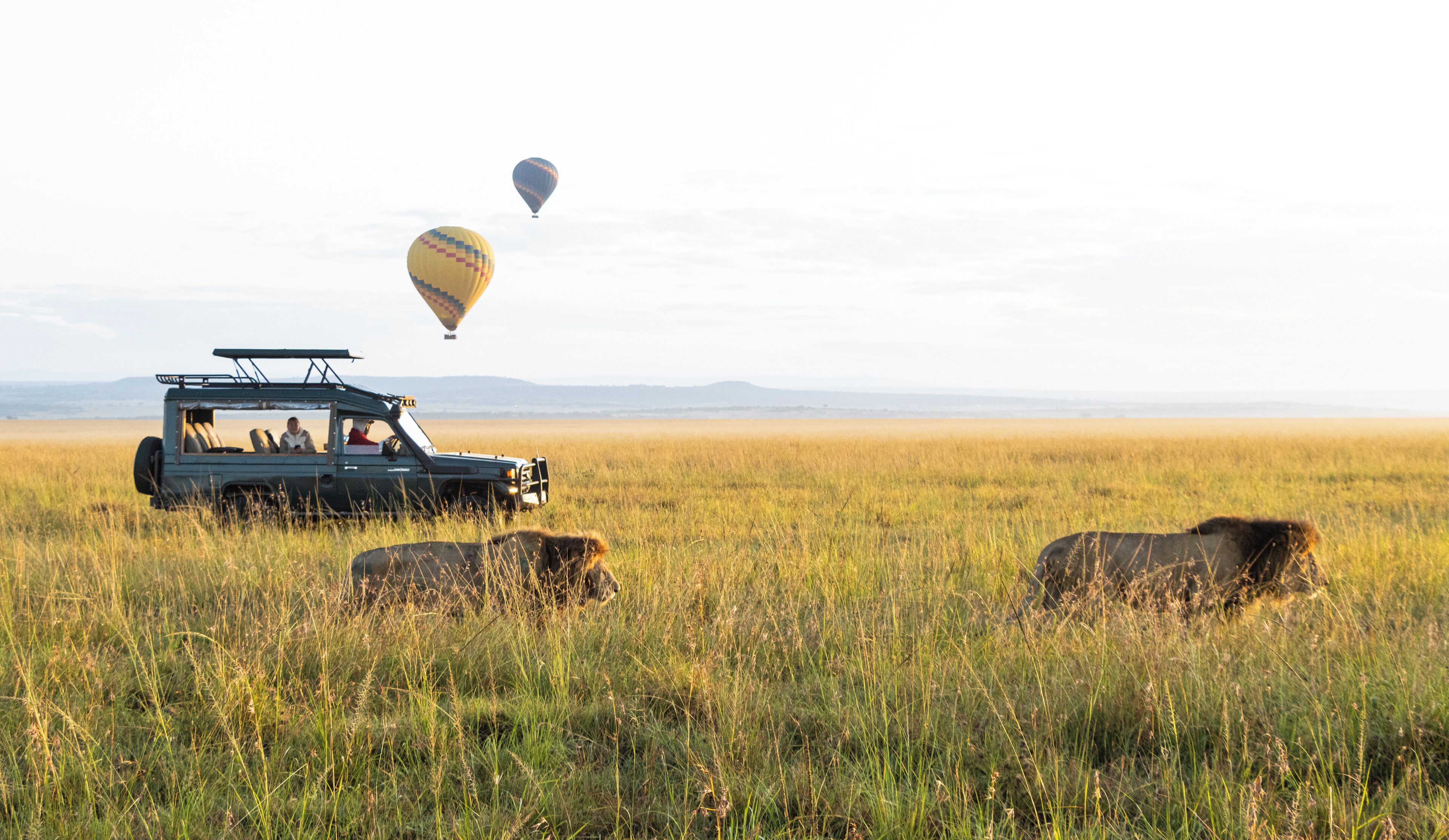 A safari vehicle in a grassy field with two hot air balloons in the background.
