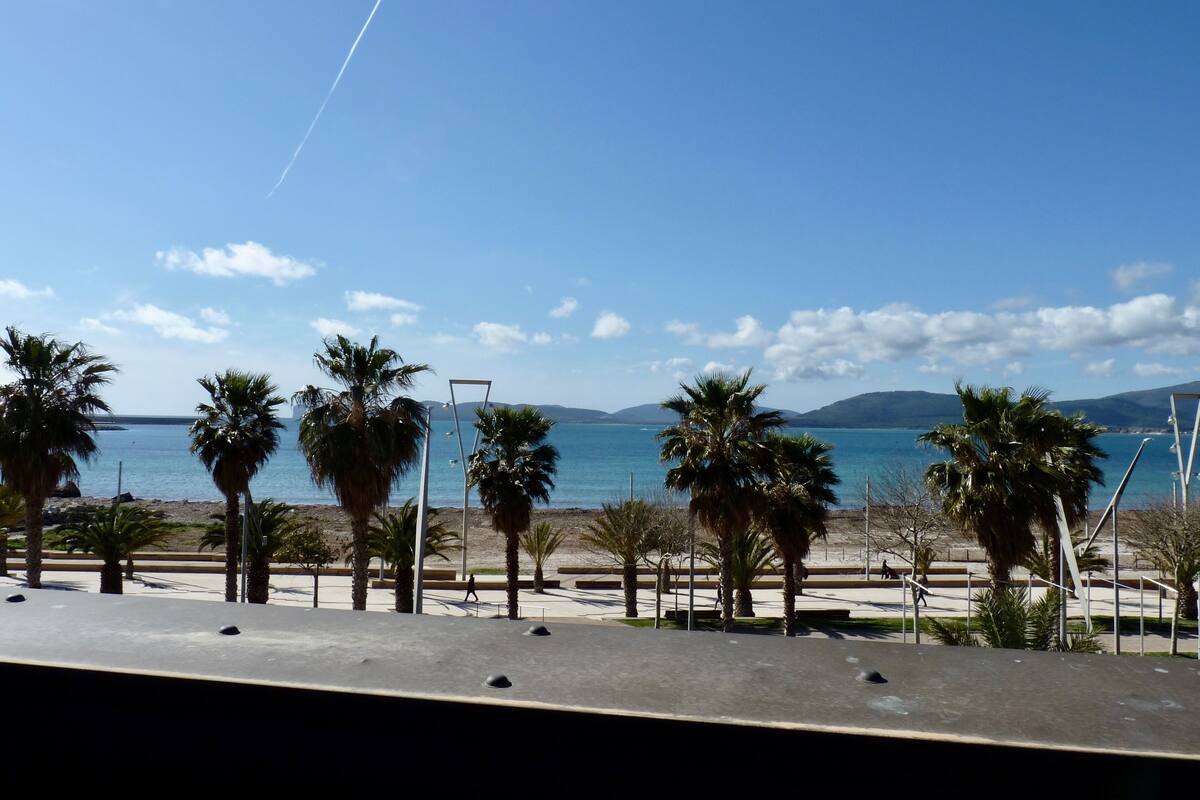 Un paseo marítimo con palmeras y una vista despejada del mar.