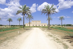 A building with a symmetrical facade, palm trees in the foreground, and a clear sky.
