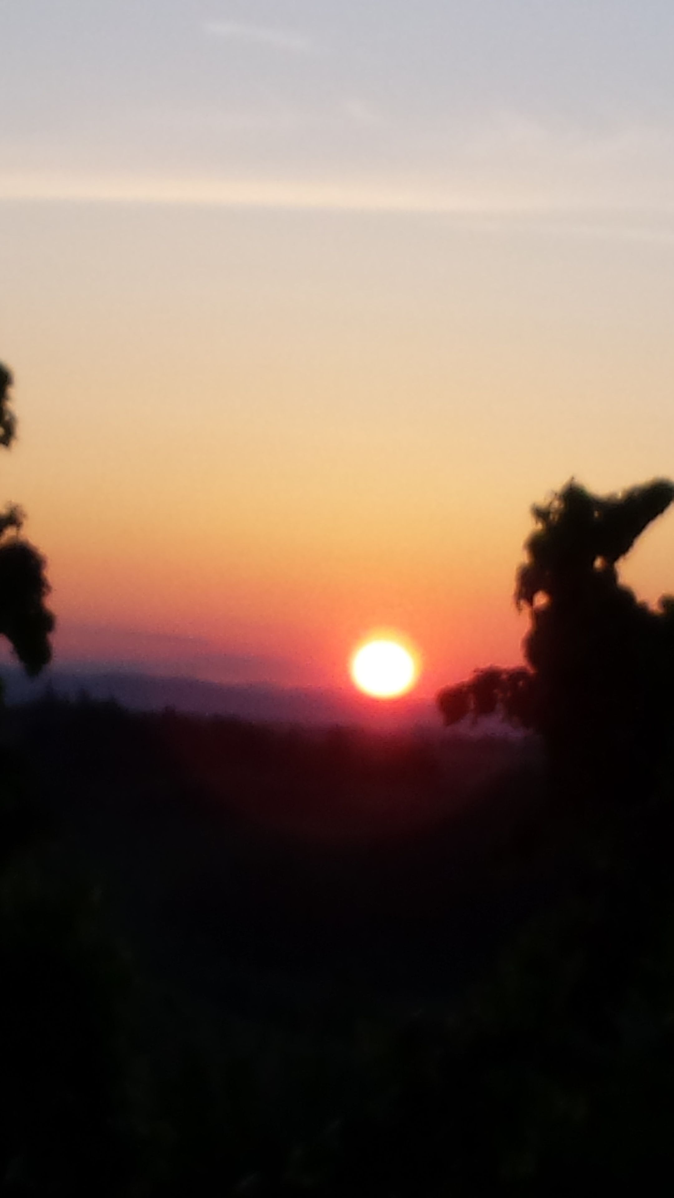 Photo - Agriturismo Il Poggiarello