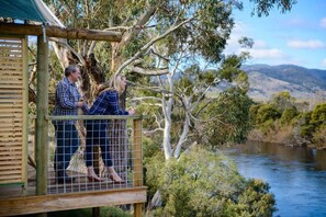 Property grounds - Glamping at Truffle Lodge (Gretna)