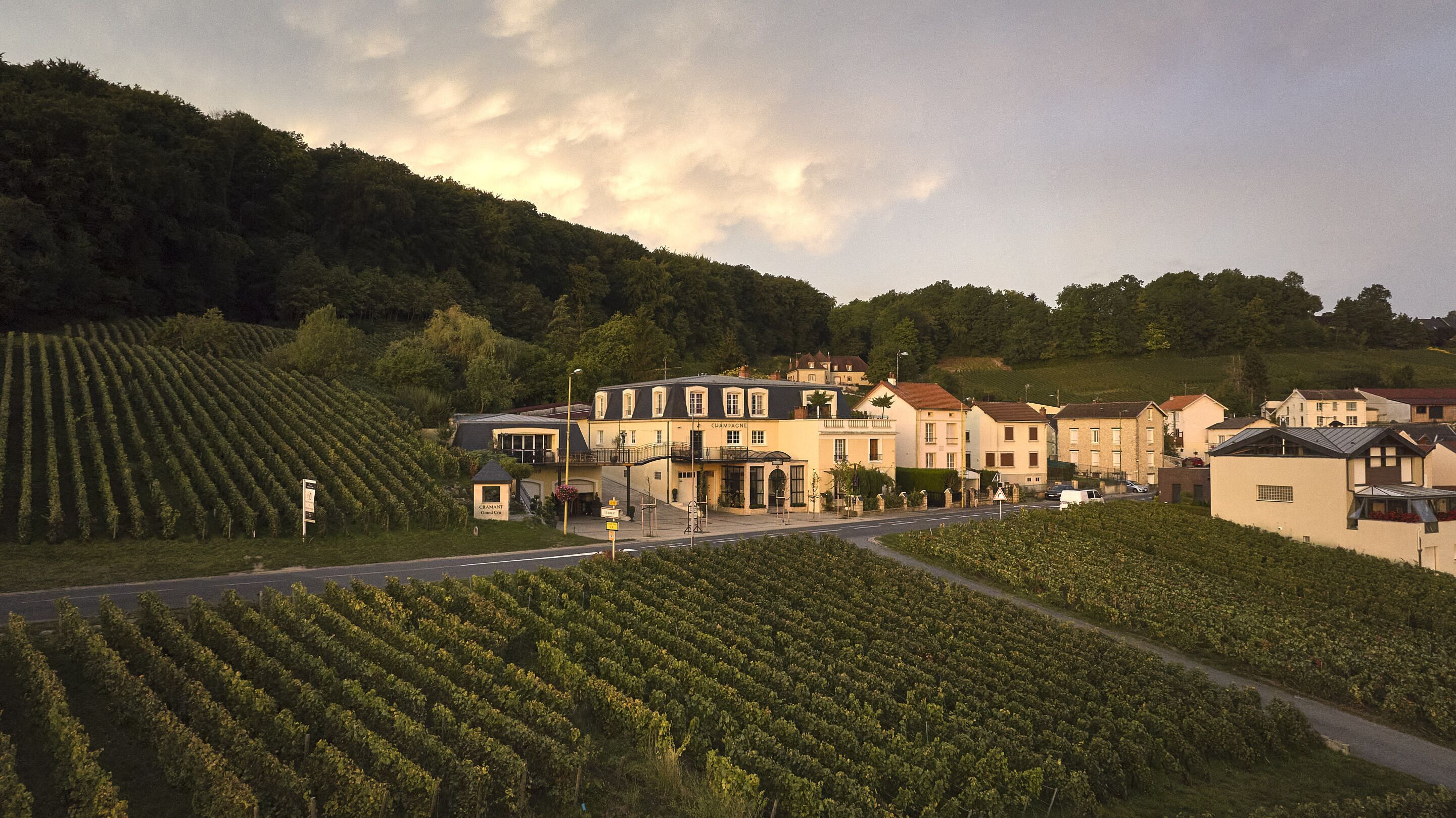 Cottage, Ensuite (Vue sur vignobles) | Pemandangan dari hartanah