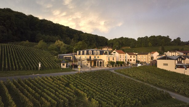 A vineyard with rows of grapevines, a building labeled 'Champagne,' and a road in the foreground. - Voirin Valérie (Cramant)