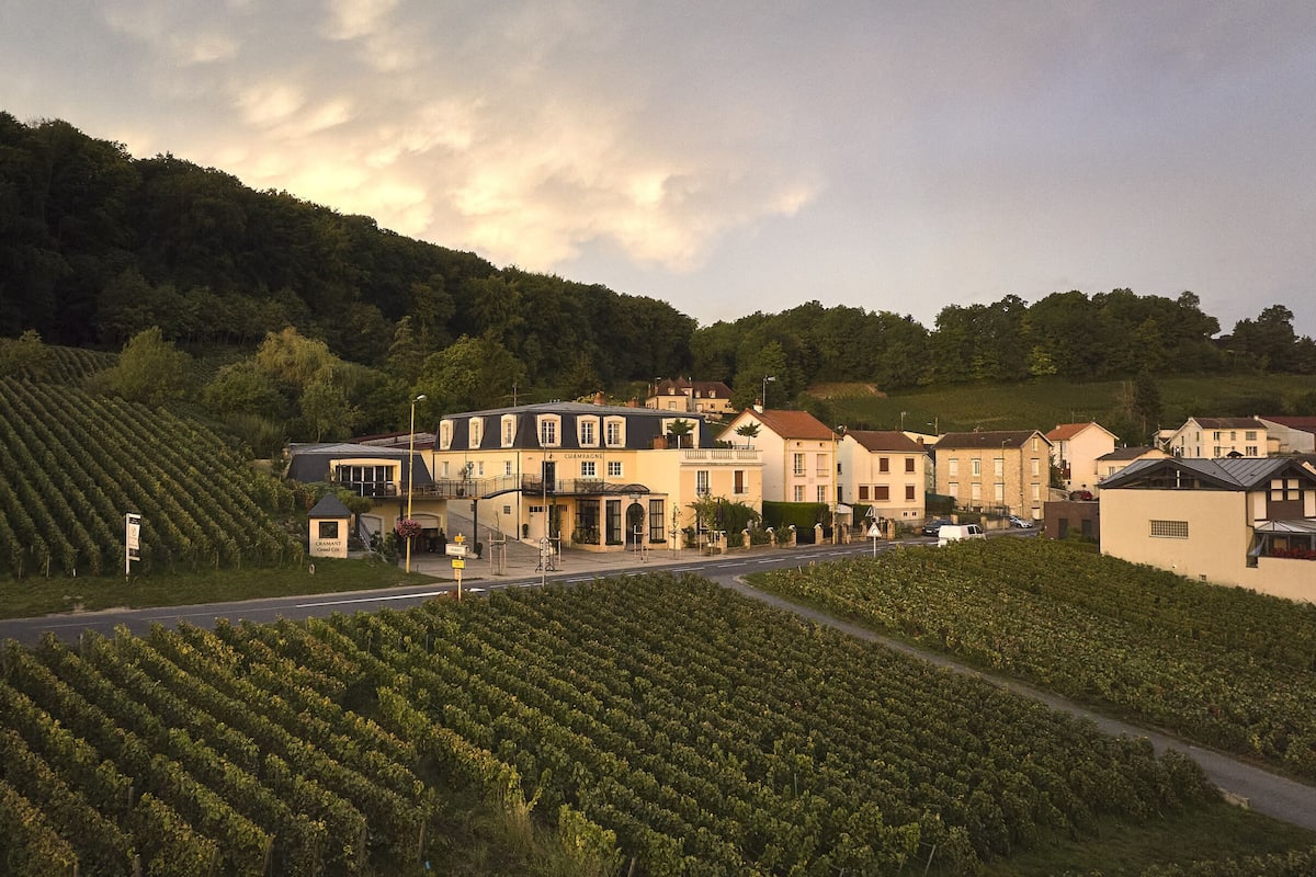 Un vignoble avec des rangées de vignes, un bâtiment portant l’inscription « Champagne », et une route au premier plan.