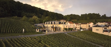 ChaumiĂšre, salle de bain attenante (Vue sur vignobles) | Vue depuis lâhĂ©bergement