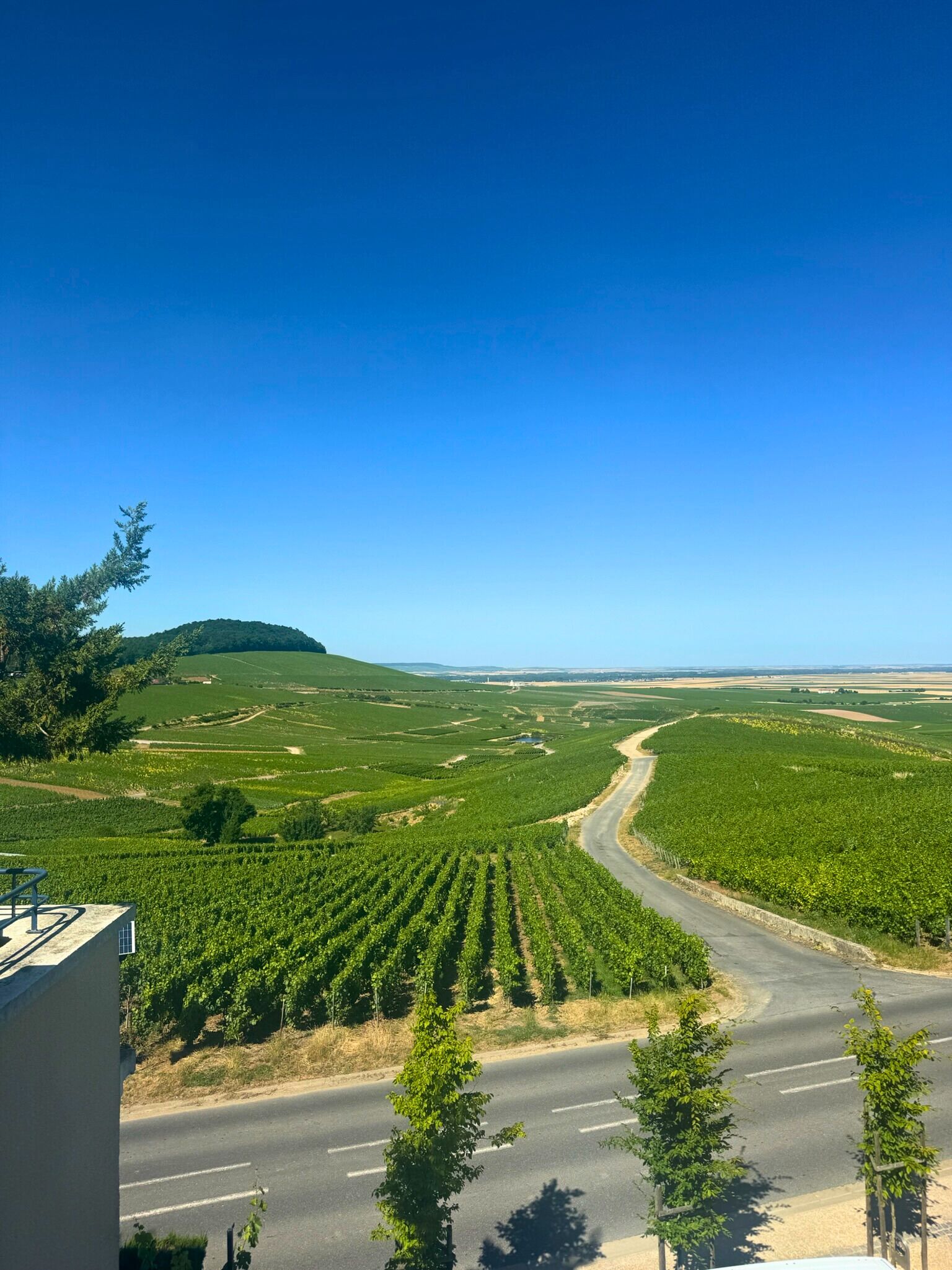 Småhus, eget bad (Vue sur vignobles) | Utsikt fra overnattingsstedet