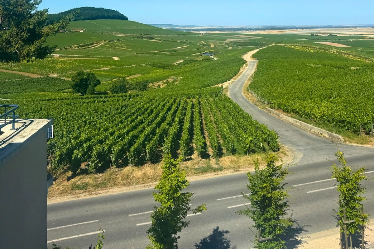 Småhus, eget bad (Vue sur vignobles) | Utsikt fra overnattingsstedet