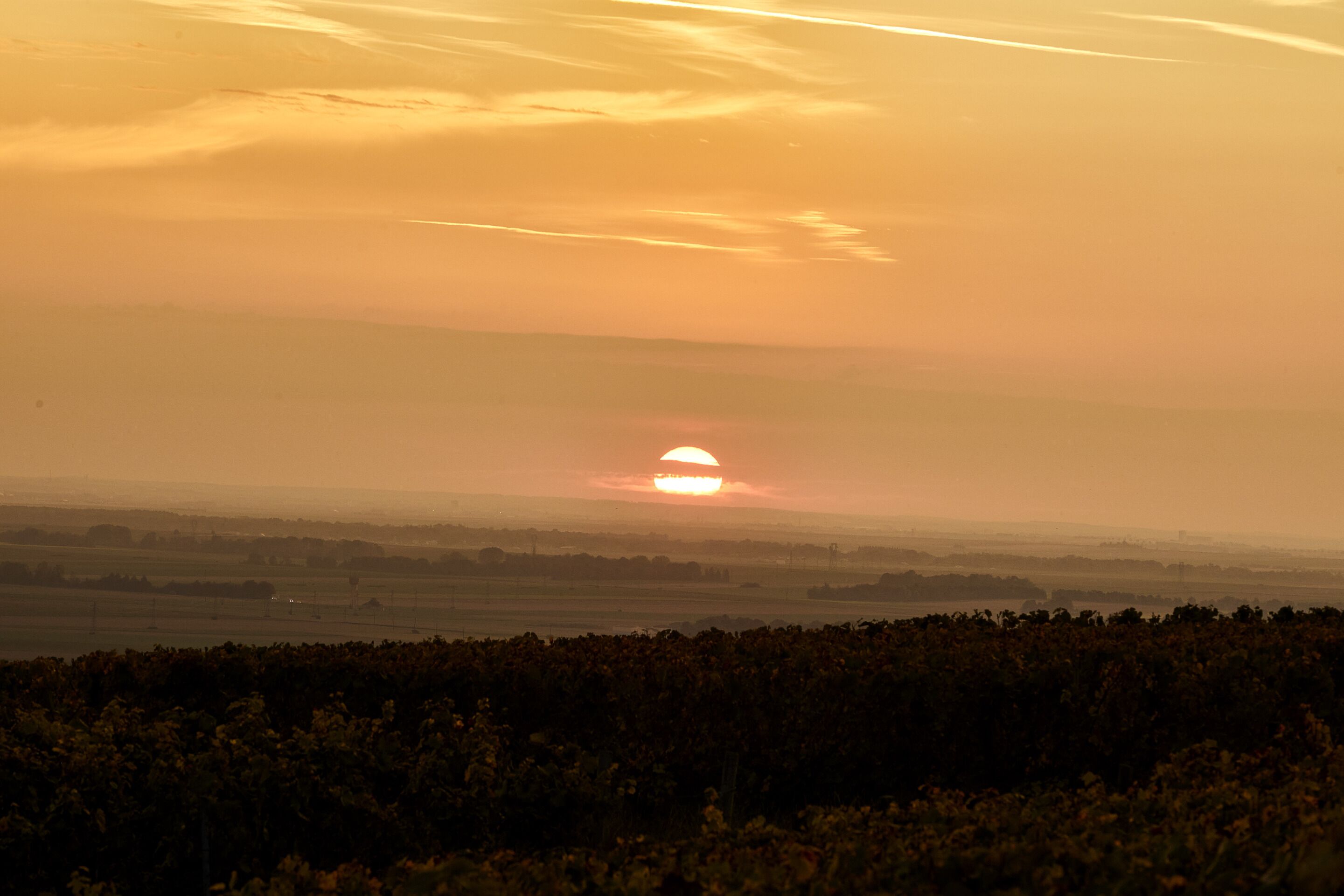 Auringonlasku pellon yllä, kaukaa näkyvän horisontin takana.