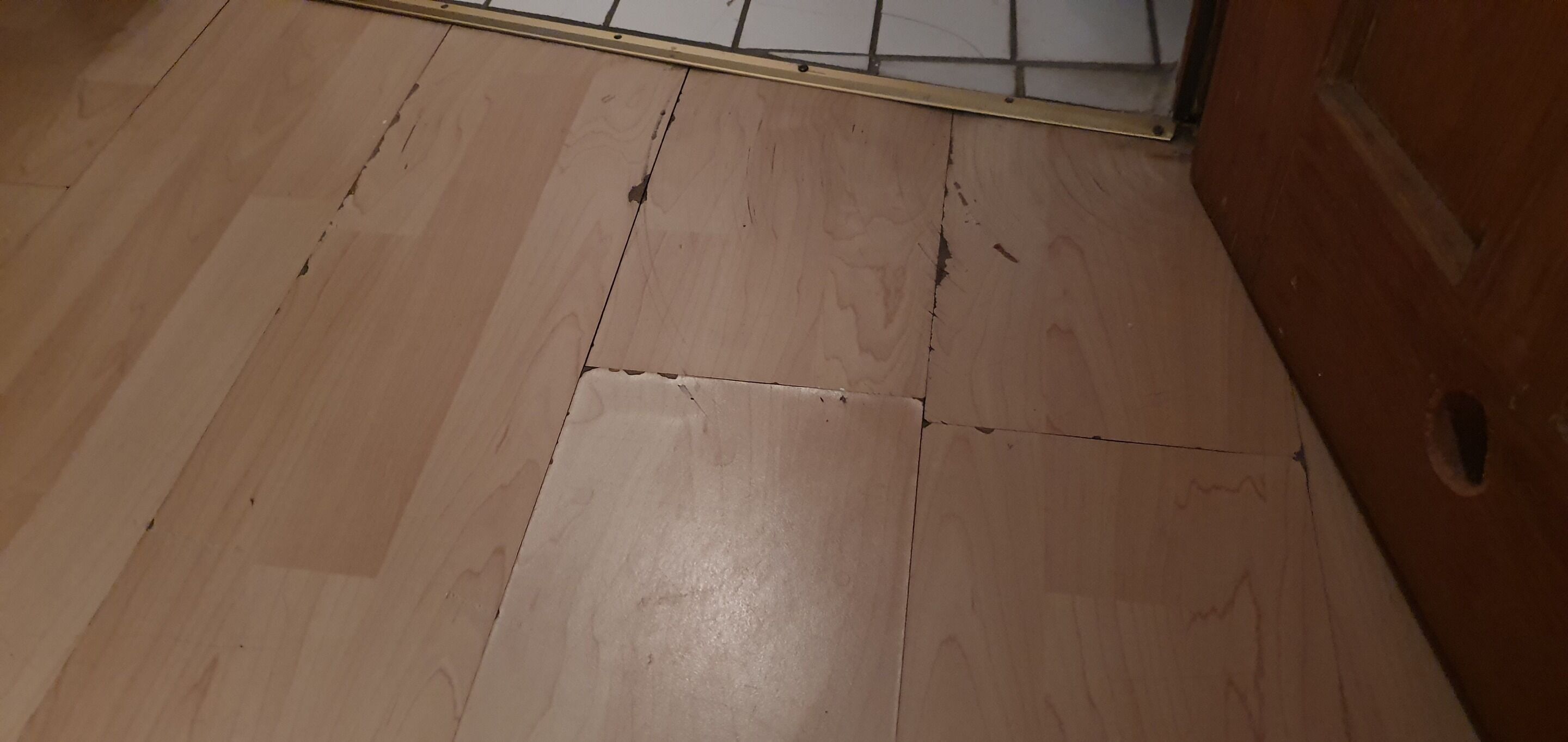 A wooden floor with visible cracks and a door frame.