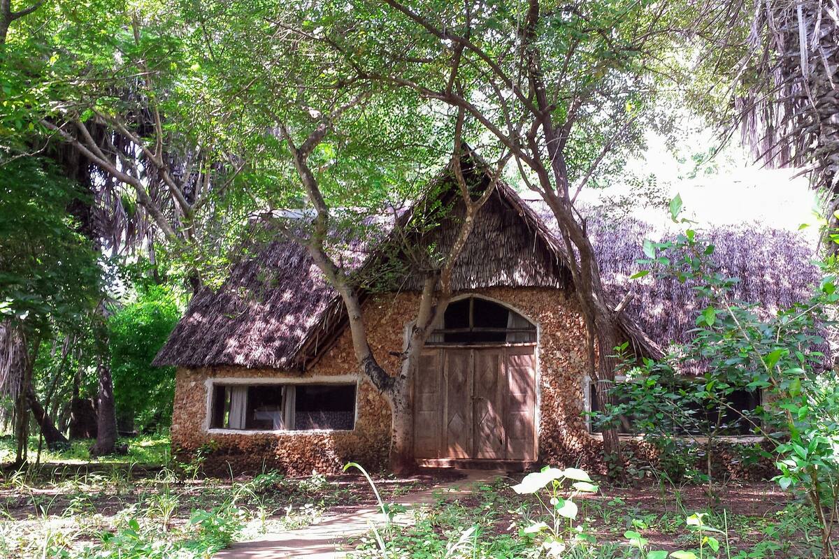 A rustic thatched-roof cottage surrounded by dense foliage.
