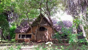 A rustic thatched-roof cottage surrounded by dense foliage. - Mikoko Cove Ecolodge (Funzi Island)