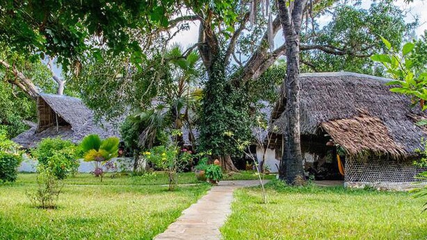 A traditional thatched-roof house with a garden path leading to it, surrounded by lush greenery and trees.