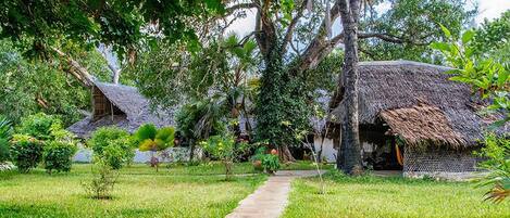 Khuôn viên nơi lưu trú