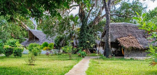 Mikoko Cove Ecolodge