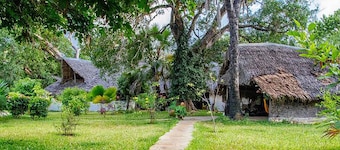 Mikoko Cove Ecolodge