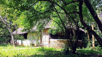 Chalet Klasik, ensuite, pemandangan kebun | Teras/patio