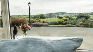 A view from a window with a vase of flowers and a lamp post in the distance. - Peartree Hill (Belfast)