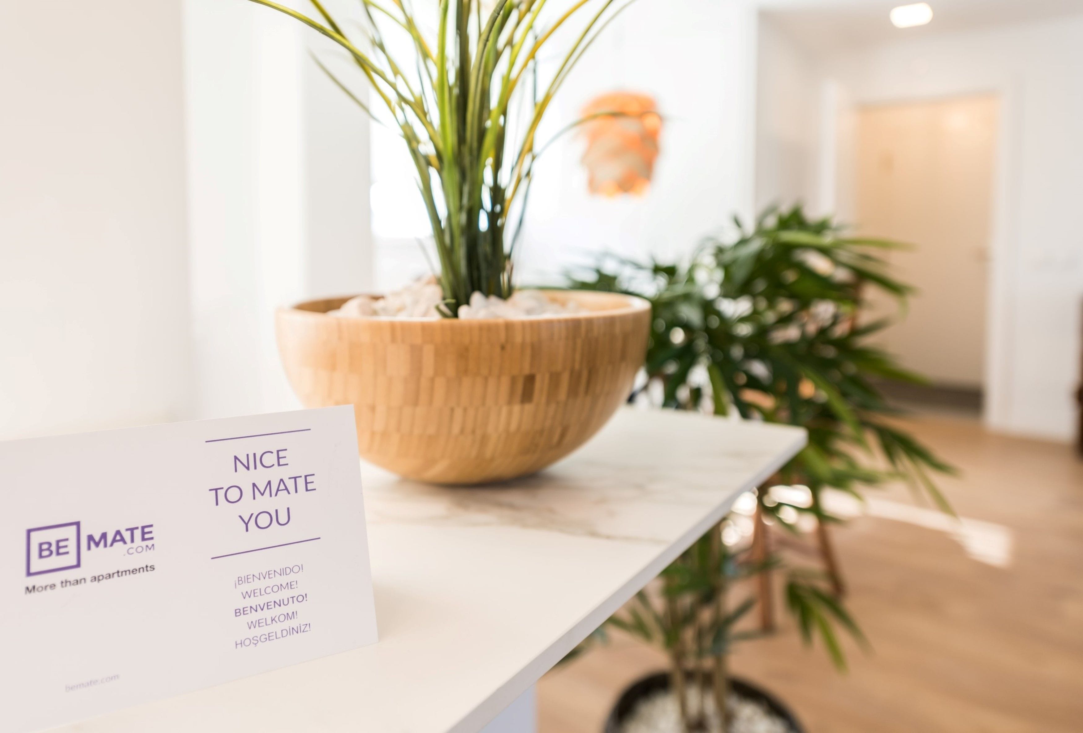 Un mostrador de recepción con una jardinera de madera y un cartel de bienvenida.
