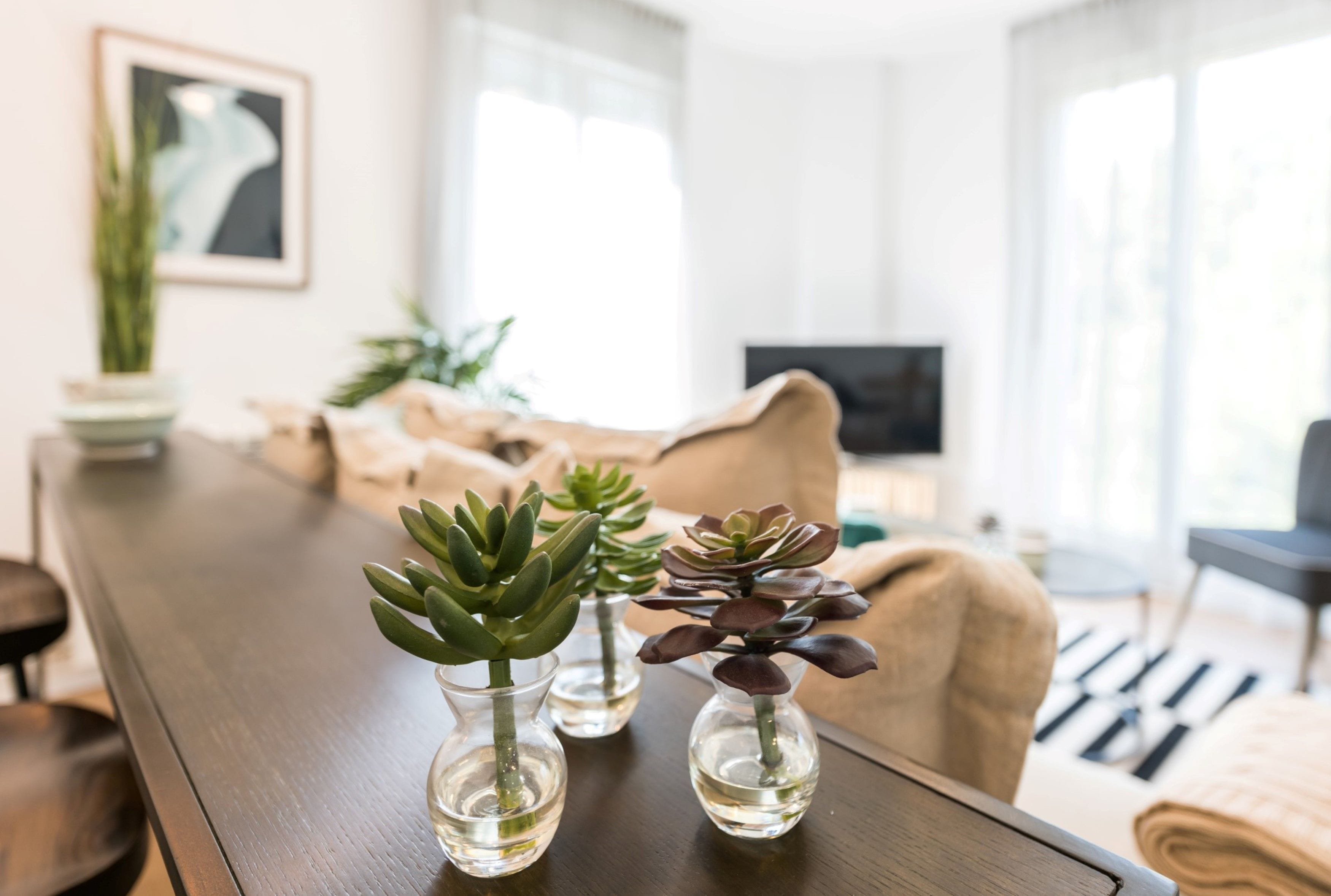 Een woonkamer met een houten salontafel waarop drie kleine glazen vazen met vetplanten staan.