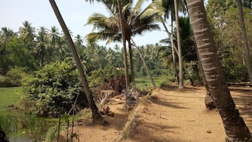 Khuôn viên nơi lưu trú