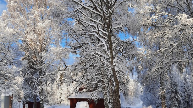 A snow-covered landscape with a sign for Geijerholms Herrgård Bed & Breakfast Hotel.