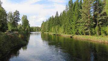 Une rivière bordée d’une forêt dense.