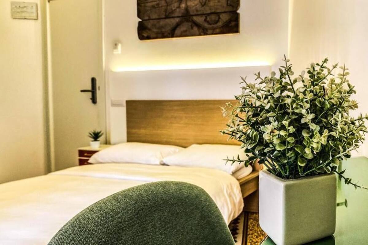 A neatly made bed with white linens, a green chair, a potted plant, and a wooden headboard.