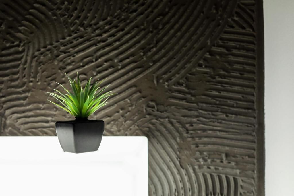Una planta en maceta negra frente a una pared con textura.