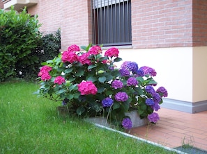 Garden - B&B Il Parco (Parma)