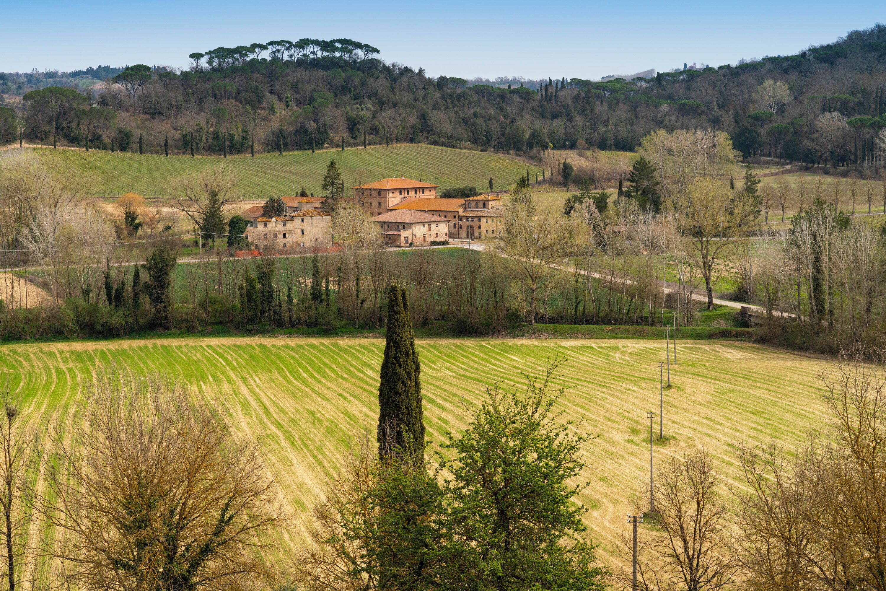 A rural landscape with a large building surrounded by fields and trees.