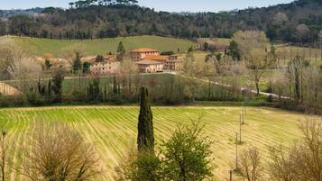 A rural landscape with a large building surrounded by fields and trees.