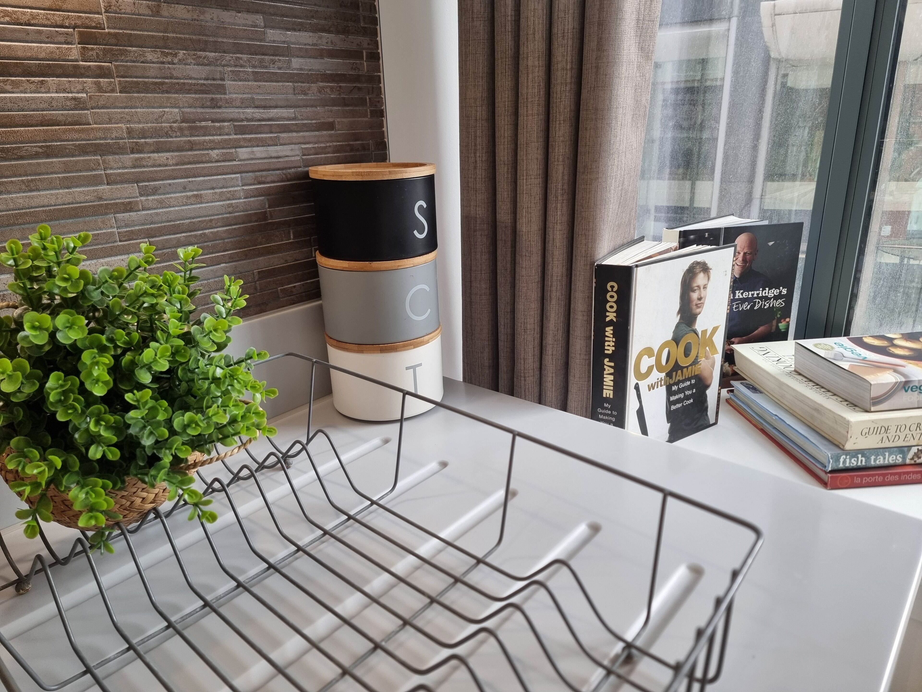 Una encimera de cocina con una planta, un escurreplatos de alambre y una pila de libros de cocina.