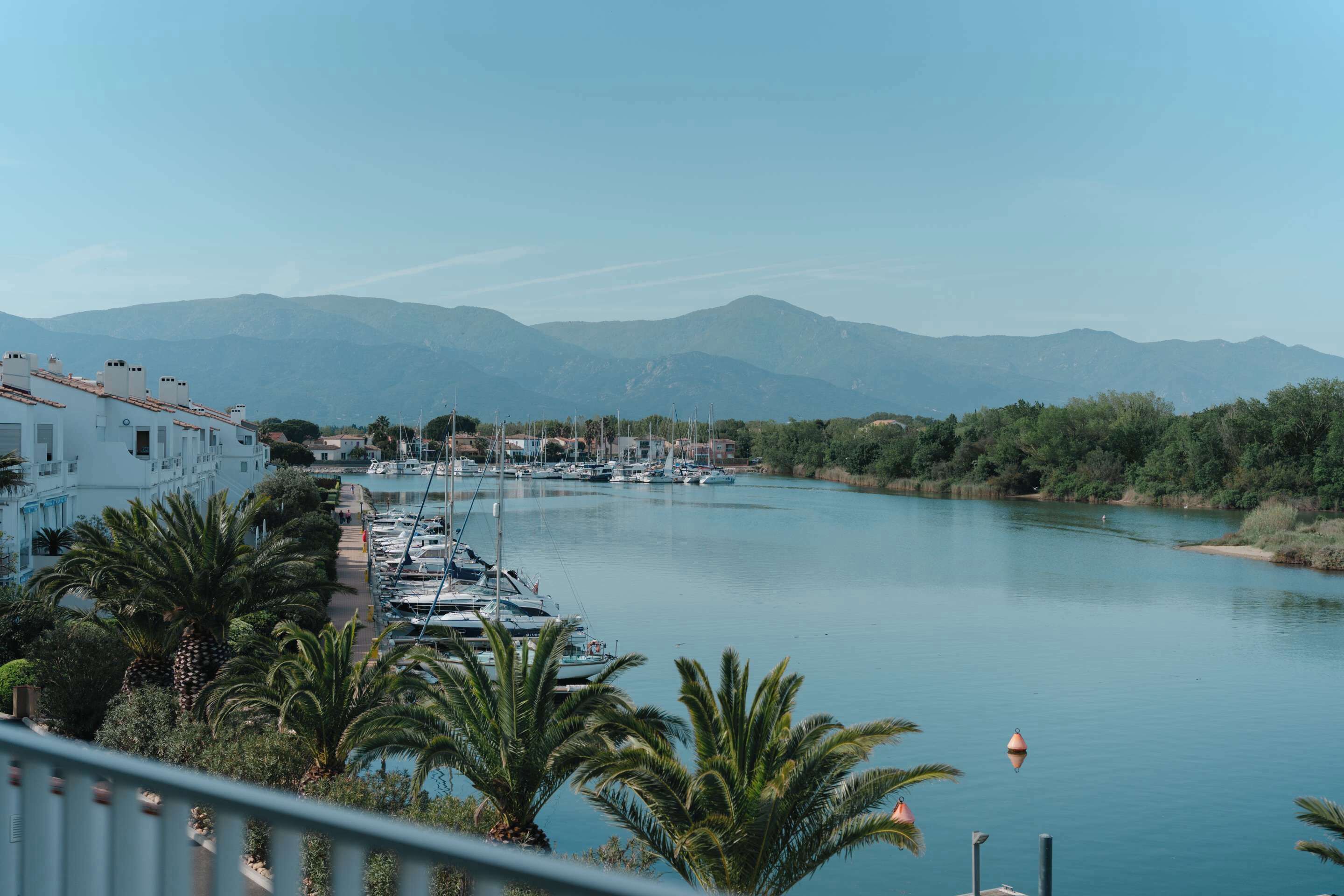 A marina with boats docked, surrounded by mountains and palm trees.