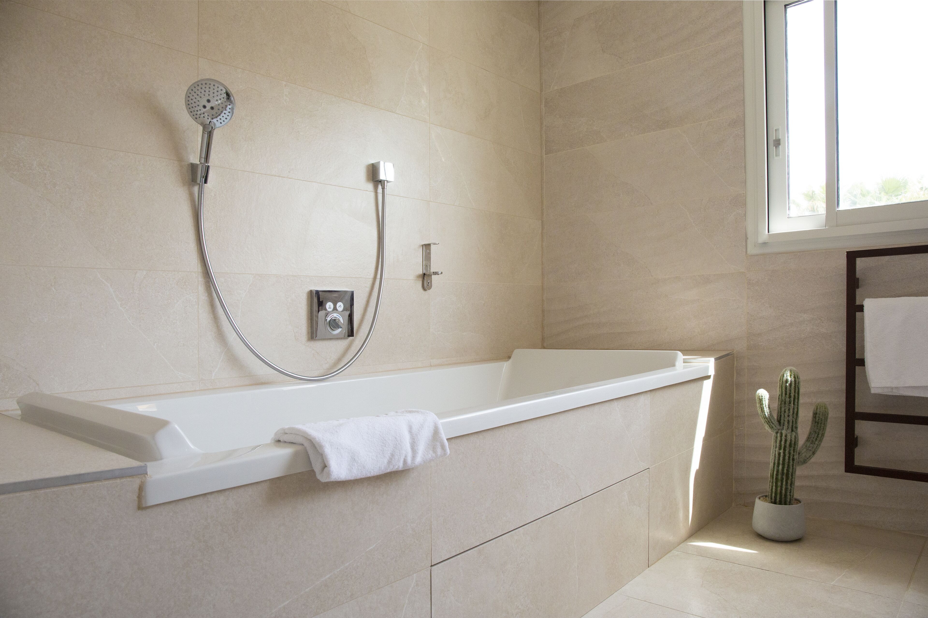 A modern bathroom with a bathtub, shower, and a cactus plant.