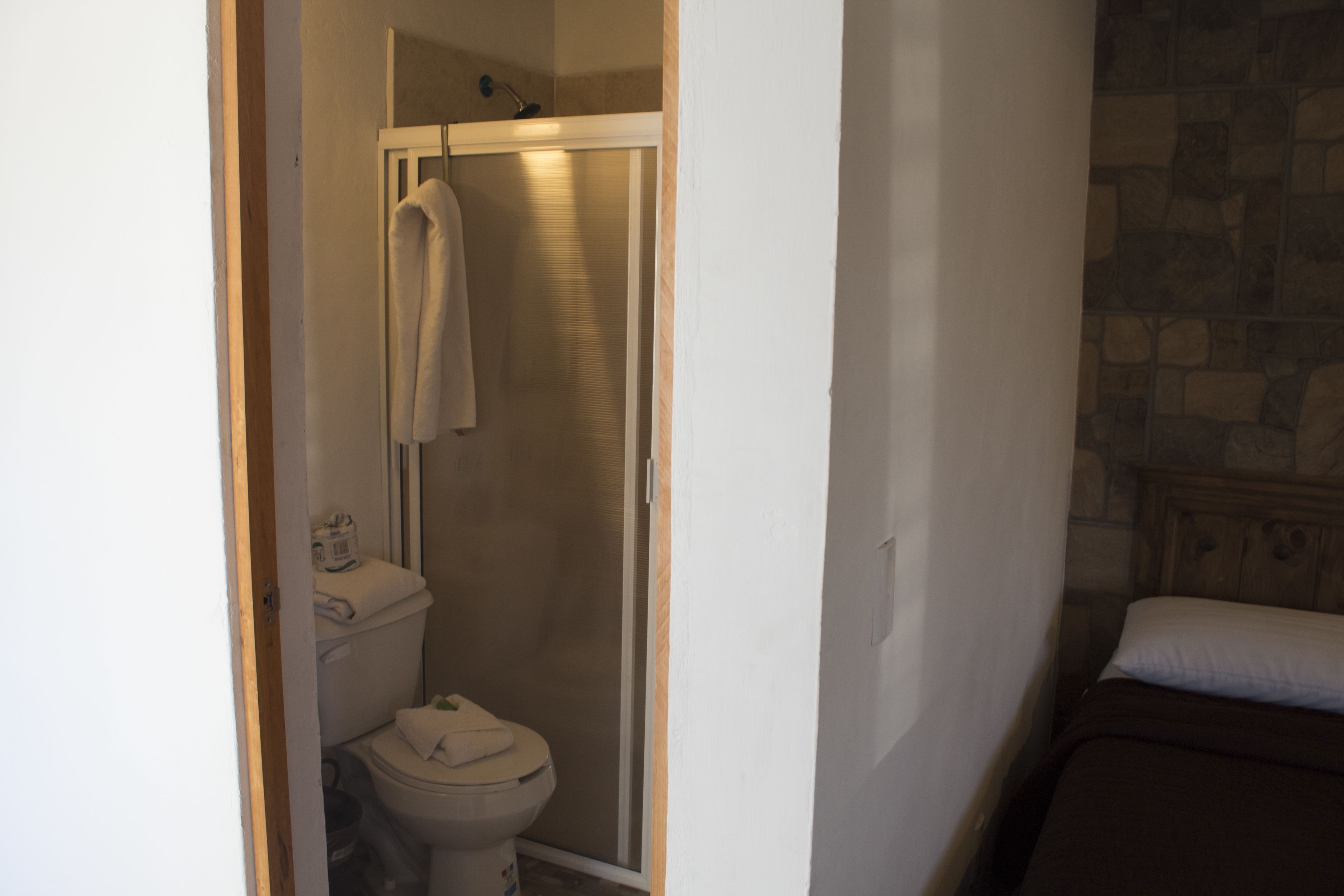 Un baño con inodoro, cabina de ducha y cama.