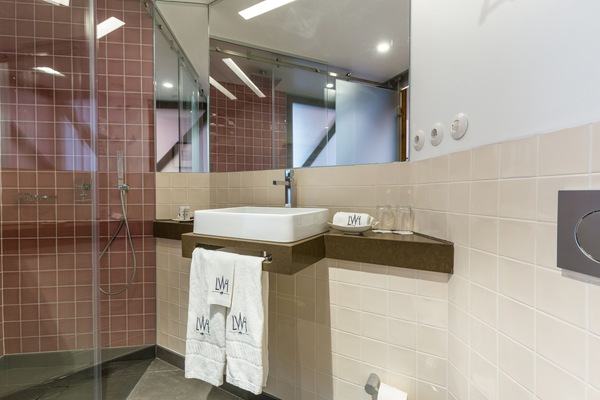 Habitación superior con 1 cama doble o 2 individuales | Baño | Ducha, artículos de higiene personal de diseño y secador de pelo
