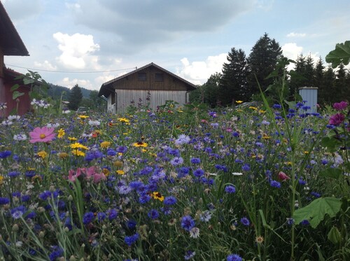 Kraeuterhof-Ferienwohnung