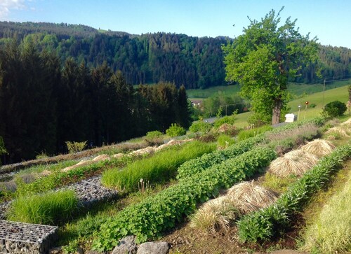Kraeuterhof-Ferienwohnung