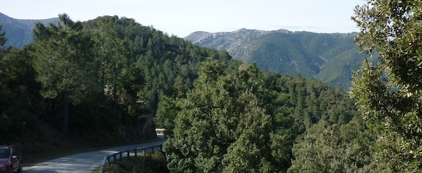 Una carretera sinuosa atraviesa una zona montañosa con bosque, con una barandilla a un lado.