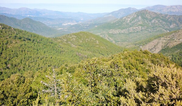 Unclassified image, 1 of 35, button