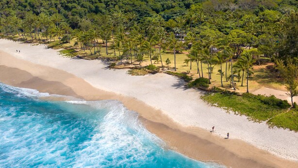 An aerial view of a beach with a sandy shore, palm trees, and a forested hill in the background. - Maisonnette with mezzanine, air conditioning, secure parking, wifi internet, Rated 3 stars. (st pierre)