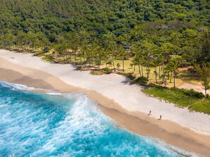 An aerial view of a beach with a sandy shore, palm trees, and a forested hill in the background. - Maisonnette with mezzanine, air conditioning, secure parking, wifi internet, Rated 3 stars. (st pierre)