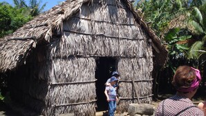 A thatched hut with a simple, rustic design, surrounded by lush greenery. - Maisonnette with mezzanine, air conditioning, secure parking, wifi internet, Rated 3 stars. (st pierre)