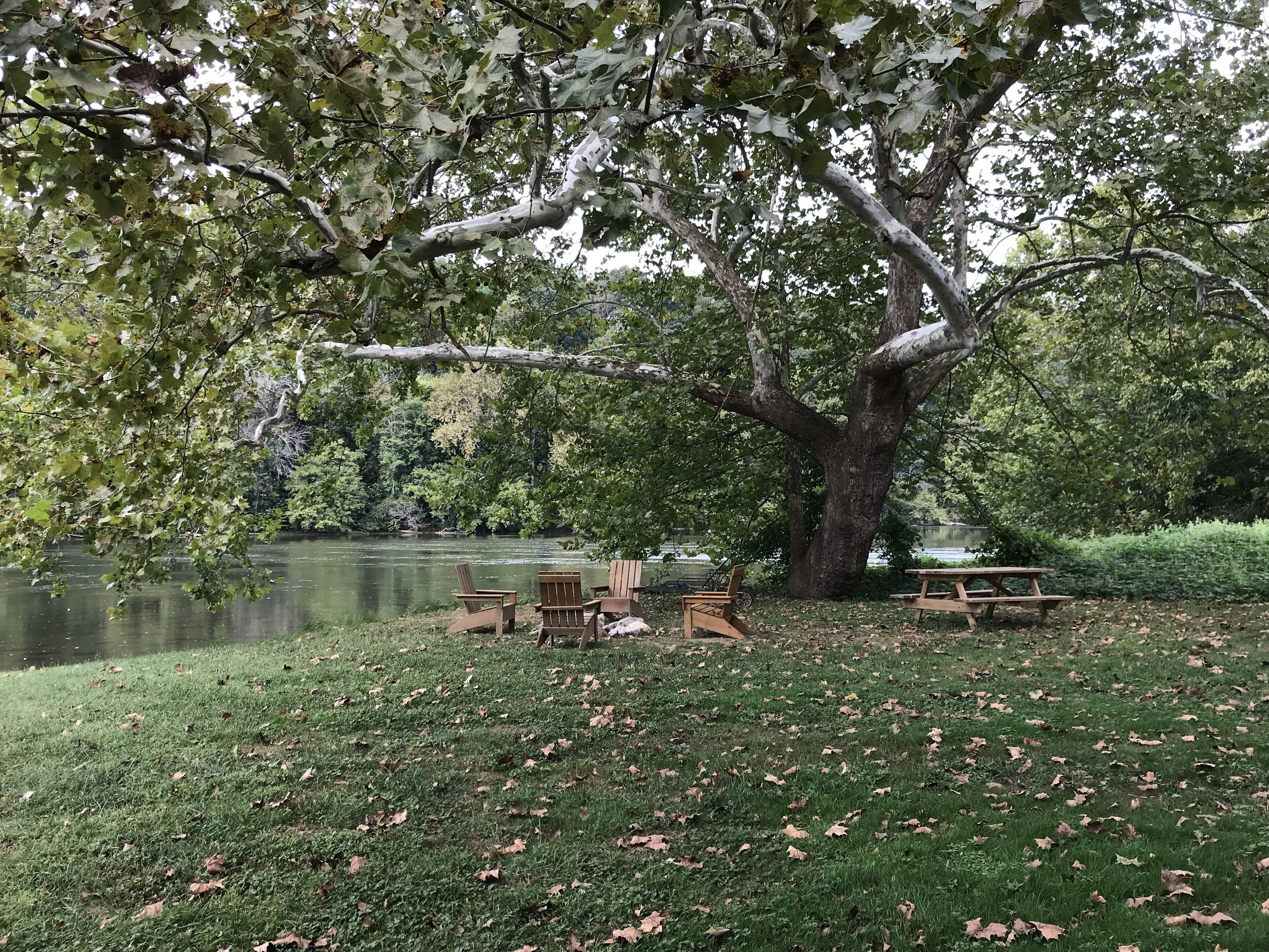 Een park met picknicktafels en stoelen onder een grote boom aan een meer.