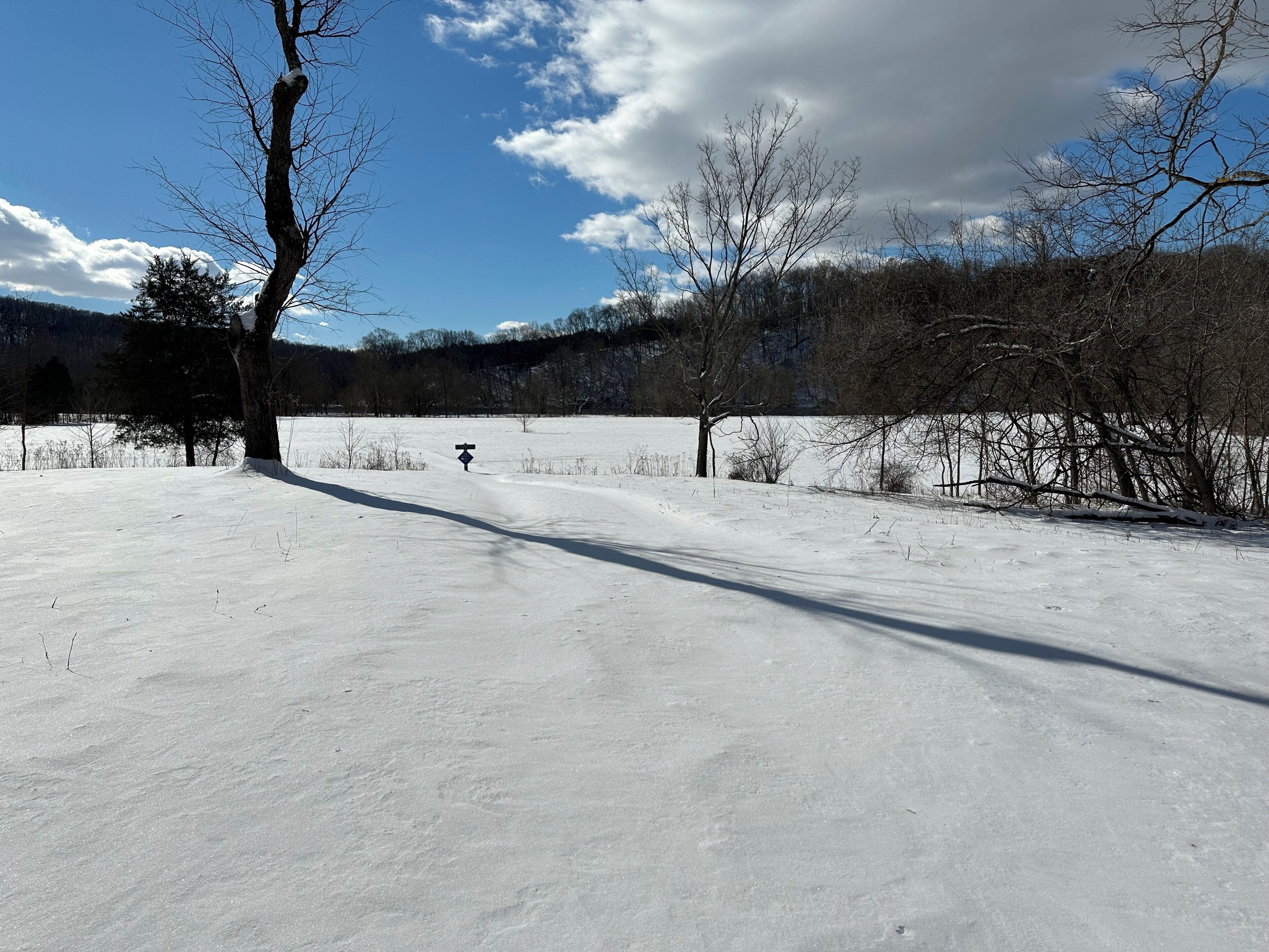 A snow-covered landscape with a clear sky and a signpost in the distance.